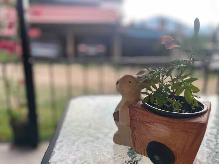 Photo 6 of 20 — Mandilas House - Spiridon